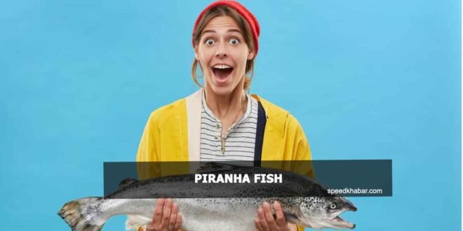 Piranha fish