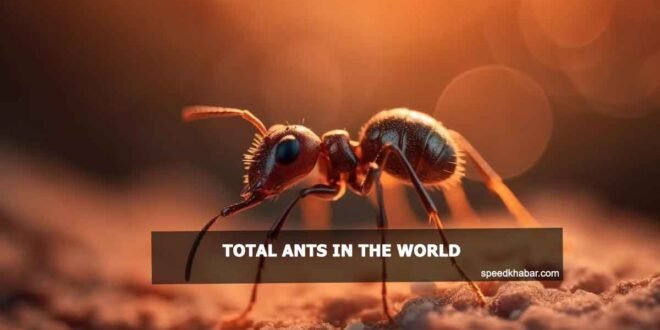 Total ants in the world