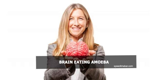 Brain eating amoeba